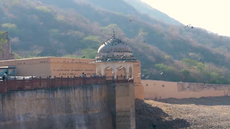 Una-enorme-bandada-de-pájaros.-India