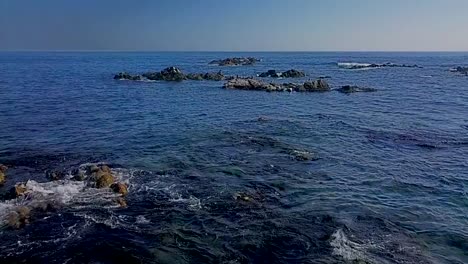 Frightened-seals-slide-into-the-sea-with-a-stone.-Shooting-in-Slow-Motion-mode.