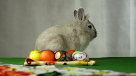 Conejito-de-pascua-con-huevos-de-Pascua