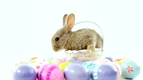 Easter-eggs-and-Easter-bunny-in-wicker-basket