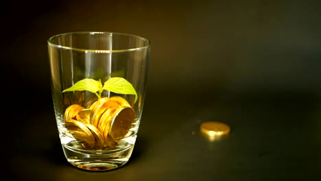 Golden-coins-in-glass-jar-and-green-leaf-of-sprout-on-black-background.-Rotating,-twisting,-swirling,-spinning-penny.