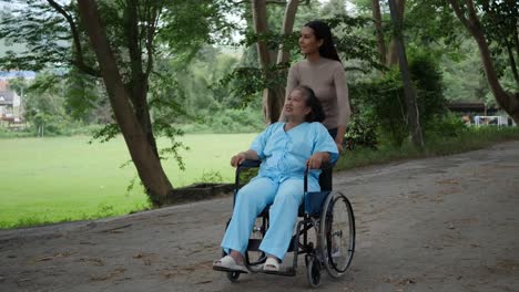 Mujer-mayor-con-su-hija-empujando-la-silla-de-ruedas-por-el-Parque