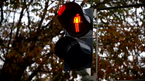 Ampel.-Ampeln-arbeiten-in-einer-großen-Stadt-am-Scheideweg.