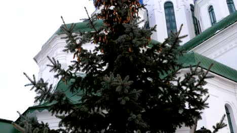 Fragmento-de-la-Catedral-de-la-Santísima-Trinidad-en-Kiev.-Un-disparo-de-abajo-hacia-arriba.