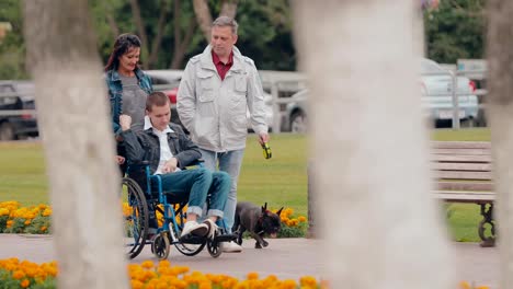 Family-with-a-disabled-teenager-is-in-the-city.-Young-man-in-a-wheelchair-with-a-sister,-a-dog-and-parents-walks-in-the-park.