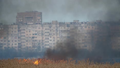 Brennendes-Feuchtgebiet-mit-Gabeln-der-Flamme-auf-der-Dnipro-Bank-am-Abend-im-Frühling