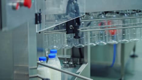 Woman-turn-on-a-mechanical-machine-for-milk-packaging-into-bottles.