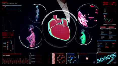 Geschäftsfrau-berührt-digitalen-Bildschirm,-Scannen-Blutgefäß,-lymphatisches,-Kreislaufsystem