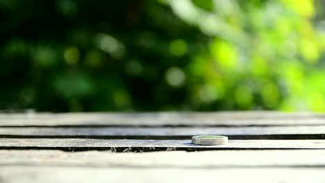 Hand-of-woman-shorting-coins-over-nature-green-leaf-shallow-depth-of-field