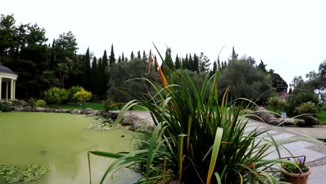 Pond-in-cities-park