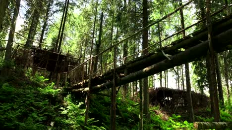 Wooden-bridge-over-the-cliff-in-the-forest.-4K.