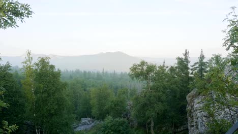 Rock-mountain-cliff-and-blue-sky-with-trees-and-forest.-Pine-tree-forest