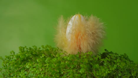 Huevos-de-Pascua-con-plumas-de-colores.