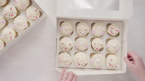 Boxeo-cupcakes-de-vainilla-en-forma-de-conejitos-de-Pascua.