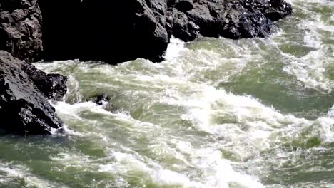 Teldykpen-rapids-on-Altai-river-Katun-near-Oroktoi,--Russia