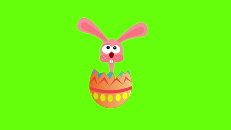 Easter-pink-bunny-in-the-easter-egg