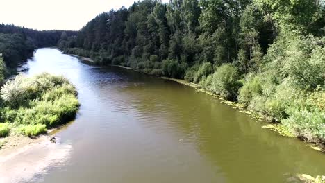 Aerial-beautiful-view-of-the-river-among-the-forest-in-sunny-summer-day.