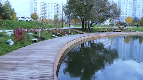 Pond-in-the-city-park