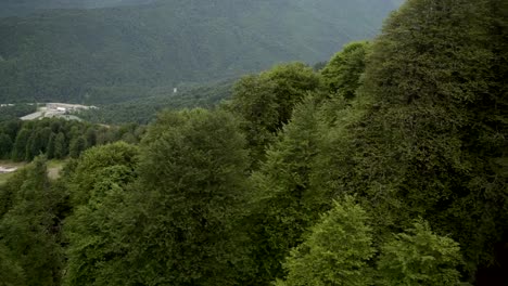 Aerial-View-of-beautiful-mountain-lake-and-beautiful-forest