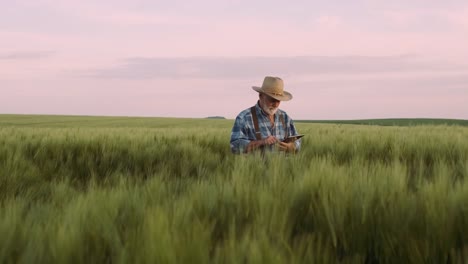 Farmer-utiliza-un-dispositivo-digital.-Agricultura,-Concepto-Agrícola.