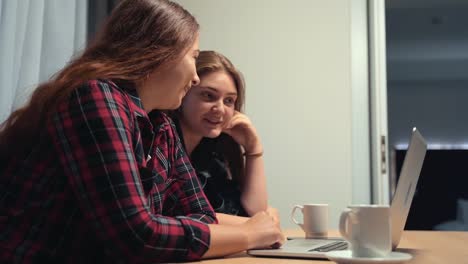 Two-attractive-young-women-at-home-with-laptop,-talking-with-each-other-and-laughing.-Friendship-or-female-couple-concept