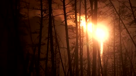 Öl,-Gas-Fackel-in-der-Nacht-in-der-Taiga.