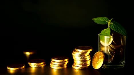 Management-efficiency.-Stacks-of-golden-coins-near-full-glass-and-green-leaf-of-sprout-on-black-background.-Success.