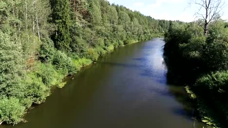 Schöne-Luftaufnahme-des-Flusses-unter-den-Wald-im-sonnigen-Sommertag.