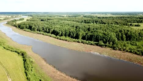 Aerial-view-of-picturesque-forest-landscape