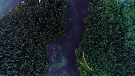 Lago-con-aguas-turquesas-y-árboles-verdes.-Paisaje-con-ríos,-bosque,-lago