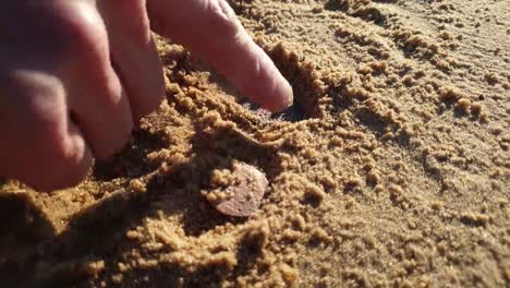 Man-is-looking-for-coins-in-the-sand.-Search-for-antique-coins.