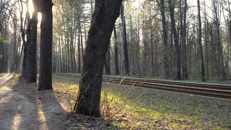 Tram-ride-through-the-city-Park