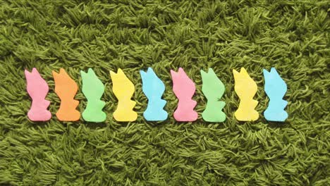 Rabbit-bunny-or-hare-count-learning-stop-motion