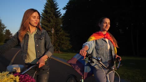 Feliz-pareja-lesbiana-hablando-durante-caminar-en-el-parque