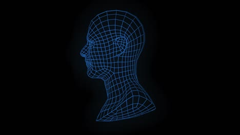 Loopable-rotating-mesh-man-face