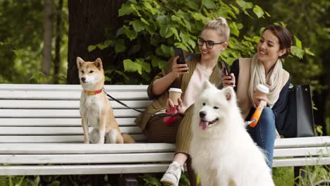 Weibliche-Besitzer-machen-Fotos-von-ihren-Hunden