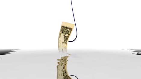 Dollar-on-fish-hook-reflecting-in-water