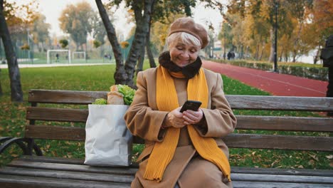 Ältere-Frauen-tippen-Nachricht-auf-Handy-sitzen-auf-der-Bank-im-Herbst-park,-Papiertüte-mit-Lebensmitteln-ist-in-der-Nähe