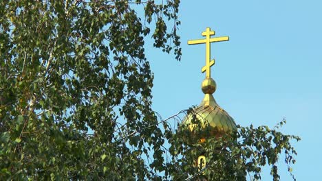 Debido-al-abedul-puede-ver-la-cúpula-de-la-iglesia