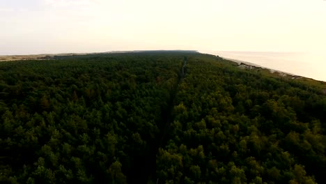 Highway-in-the-forest,-aerial-view