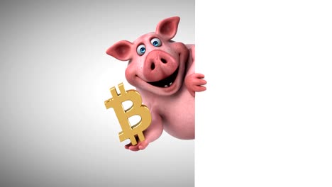 Pig-and-bitcoin---3D-Animation