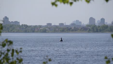 Ve-a-Kiev,-capital-de-Ucrania,-con-el-río-Dnieper-o-Dnipro