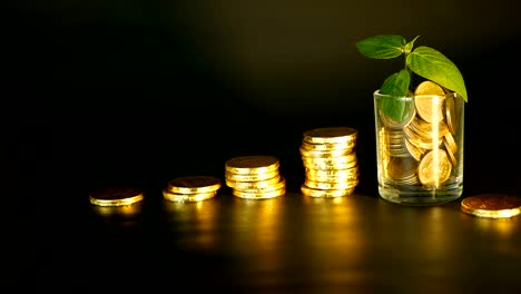 Management-efficiency.-Stacks-of-golden-coins-near-full-glass-and-green-leaf-of-sprout-on-black-background.-Success.