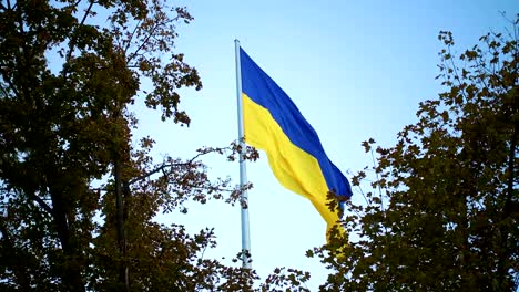 Ukrainische-Flagge-im-Wind-flattern