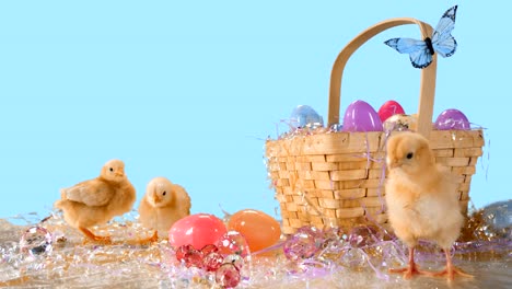 Adorable-chicks-hang-out-around-an-Easter-basket-in-front-of-a-blue-background