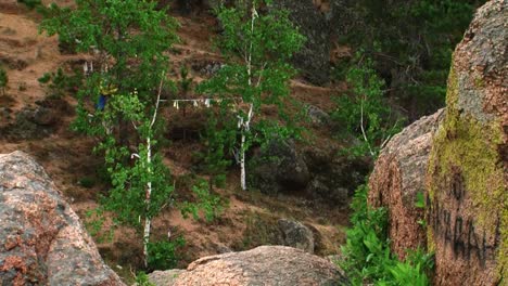 Summer,-day,-view-from-the-hill-over-the-river-with-a-rock-in-the-foreground