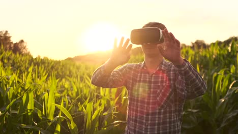 Future-farmer-uses-VR-glasses-to-manage-corn-plantations-and-control-the-quality-of-plants-at-sunset-in-the-field