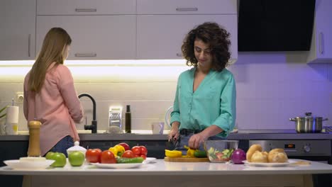 Joven-pareja-de-lesbianas-cocinando-ensalada-de-verduras-en-la-cocina,-pasando-tiempo-juntos