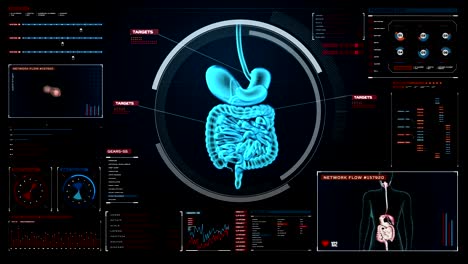 Zooming-body-scanning-internal-organs,-Digestion-system-in-digital-display.