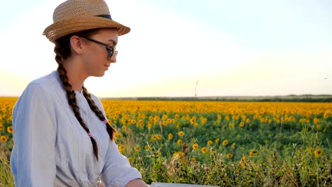 mujer-con-teléfono-móvil-y-la-batería,-chica-con-móvil-y-el-panel-solar-se-comunica-en-la-red-social-en-el-campo-de-fondo